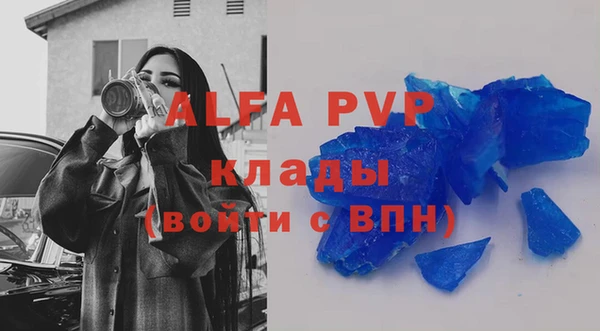 индика Абаза