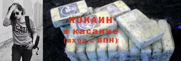 индика Абаза