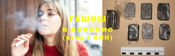 индика Абаза