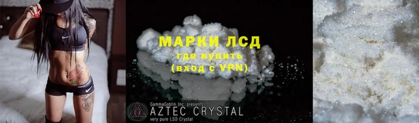 индика Абаза