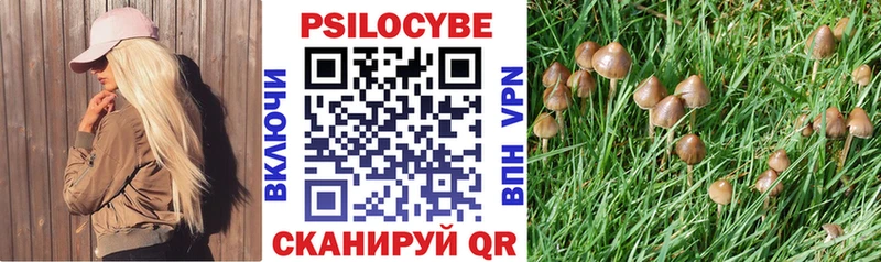 Галлюциногенные грибы Magic Shrooms  Зеленодольск 