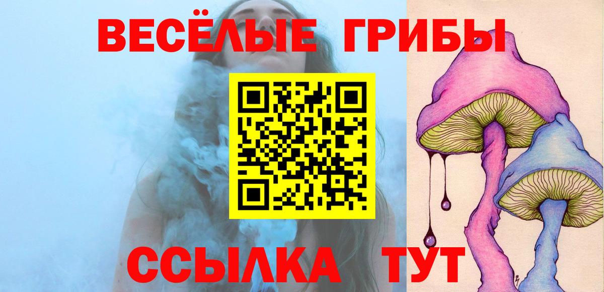 Псилоцибиновые грибы прущие грибы  Вход с VPN  магазин продажи наркотиков  Зеленодольск 