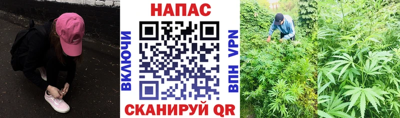 ссылка на мегу как зайти  Зеленодольск  Бошки Шишки семена  цены  